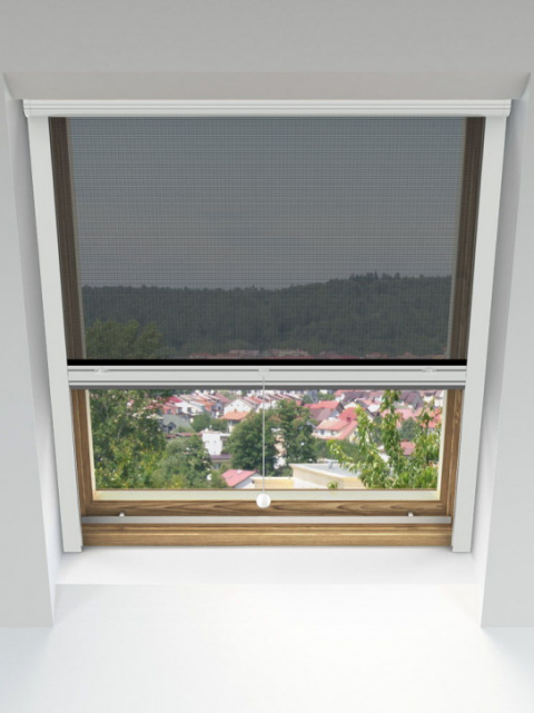 Ventana roto